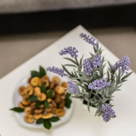 Lavanda Apartment